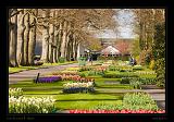 Keukenhof Hollandia 074